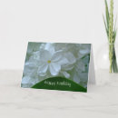 Suche nach jasmin blume karten Weiß