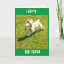 Suche nach cocker spaniel geburtstag karten Teenager