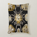 Suche nach seeigel kissen Muscheln