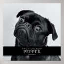 Suche nach moderne hunde poster Schwarz