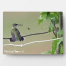 Suche nach biene fotoplatten Vogelbeobachtung