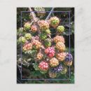 Suche nach lila beeren postkarten Blackberry