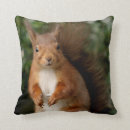 Suche nach nagetiere kissen Wildtiere