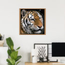 Suche nach wildkatzen poster Wildtiere
