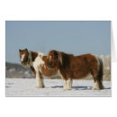 Suche nach miniaturpferd postkarten Schnee