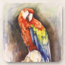 Suche nach grüner papagei untersetzer Rot