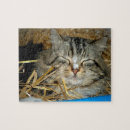 Suche nach schlafender puzzle Foto