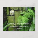 Suche nach farne postkarten Moos