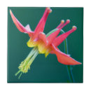 Suche nach ken fliesen Usa