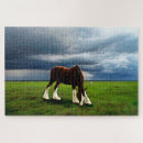 Suche nach pferdeartige puzzle Entwurfspferd