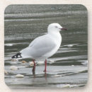 Suche nach seegras untersetzer Natur