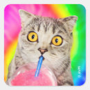 Suche nach trinken aufkleber Witz