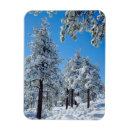 Suche nach schneebedeckt magnete Blau