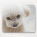 Suche nach unschuld mousepads Niedlich