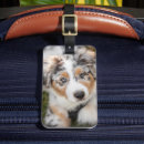 Suche nach australian shepherd gepäckanhänger Welpe