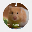 Suche nach niedlicher hamster ornamente Nagetier