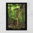 Suche nach biber postkarten Nagetier