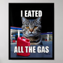 Suche nach lustige katze poster Cool