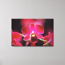 Suche nach orchids leinwandbilder Rosa