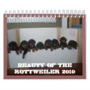 Suche nach welpen kalender Tiere