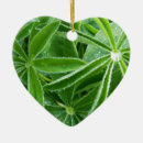 Suche nach lupinen ornamente Grün