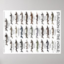 Suche nach 18x24 poster Lustig