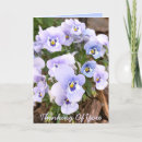 Suche nach stiefmütterchen karten Floral