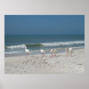 Suche nach ibis poster Strand