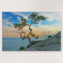 Suche nach trees puzzle Ozean