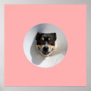 Suche nach lächelndes tier poster Lustig