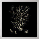 Suche nach schwarz poster Natur