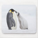 Suche nach kaiser pinguine mousepads In voller länge