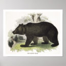 Suche nach pädagogisch poster 1813 1903