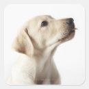 Suche nach reinheit aufkleber Einfachheit