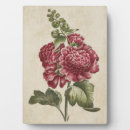 Suche nach botanisch fotoplatten Blume