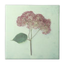 Suche nach flora vintag fliesen Für sie