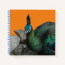 Suche nach pfau notizbuch Pfauenmuster