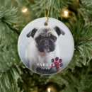 Suche nach pfoten ornamente Dogs