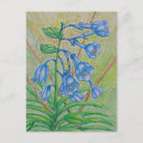 Suche nach bluebells postkarten Lila