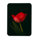 Suche nach single magnete Blume