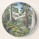 Suche nach altes wachstum Wald