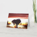 Suche nach mit pferdebild karten Pferdebilder