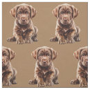 Suche nach labrador retriever bastel zubehör Muster