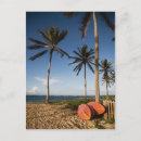 Suche nach st kitts postkarten Strand