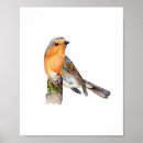 Suche nach rotkehlchen poster Vogel