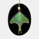 Suche nach motte ornamente Natur