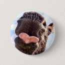 Suche nach pferdeliebhaber buttons Spaß