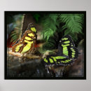 Suche nach stele poster Schmetterling