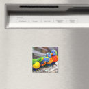 Suche nach parrot magnete Bunt