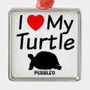 Suche nach gemalt ornamente Schildkröte